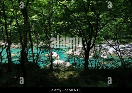 Dakigaeri gola o Dakigaeri Valle nella prefettura di Akita, Giappone, Asia. Giapponese popolare meta turistica e meta di viaggio con boschi, alberi, Fiume Foto Stock