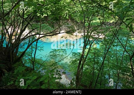 Vista della gola Dakigaeri o Dakigaeri Valle nella prefettura di Akita, Giappone, Asia. Turista giapponese spot e destinazione di viaggio con boschi, alberi, Fiume Foto Stock