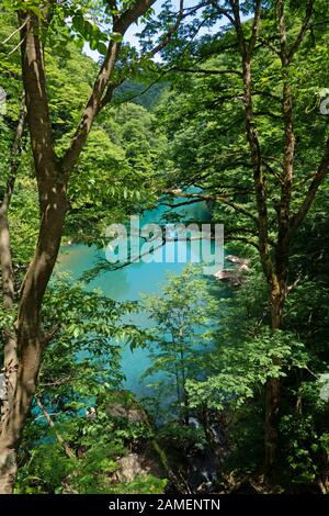 Vista della gola Dakigaeri o Dakigaeri Valle nella prefettura di Akita, Giappone, Asia. Turista giapponese spot e destinazione di viaggio con boschi, alberi, Fiume Foto Stock