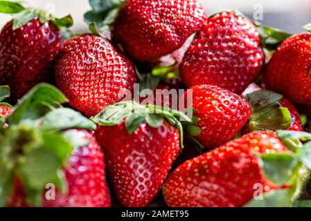 Fragola fresca matura perfetta, sfondo Food Frame, fuoco selettivo - immagine Foto Stock