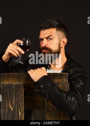 L'uomo con la barba tiene un bicchiere di vino su sfondo marrone scuro. Winetasting e concetto di degustazione. Il sommelier ha un sapore di bevanda costosa. Degustator con inclinazione sicura del viso su sedia in legno. Foto Stock