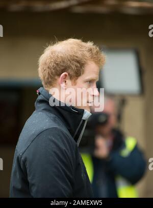 RHS Chelsea Flower Show, Londra, Regno Unito. 18th maggio 2015. Il principe Harry, duca del Sussex alla speranza del Sentebale nel giardino di vulnerabilità che mira a evidenziare la situazione dei bambini più vulnerabili del Lesotho. Sentebale è una carità fondata dal principe Harry e dal principe Seeiso. Credito: Maureen Mclean/Alamy Foto Stock