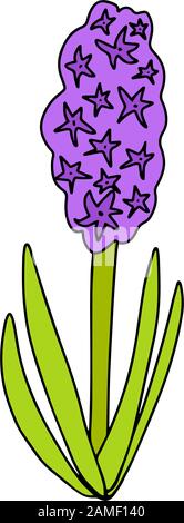 Hyacinth in stile cartone animato disegnato a mano isolato su sfondo bianco.Spring flower.Present per la Giornata della Donna. Illustrazione colorata.simbolo di Pasqua. Firma carrello Illustrazione Vettoriale