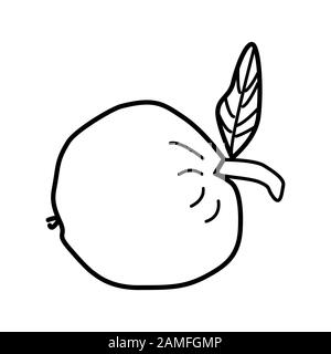 Icona Apple isolata su sfondo bianco. Stile di contorno Apple. Emblema di frutta, logo. Segni moderni, simboli per il design, app mobile, infographics.Vector Illustrazione Vettoriale