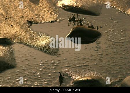 Primo piano dell'area fangosa Foto Stock