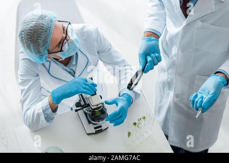 vista aerea dei biologi multiculturali che parlano in laboratorio Foto Stock