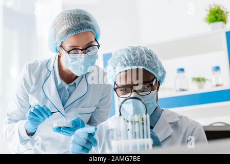 biologi multiculturali che guardano le foglie con lente d'ingrandimento Foto Stock