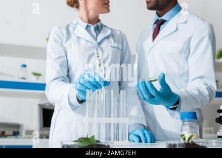 vista ritagliata di biologi multiculturali che parlano in laboratorio Foto Stock