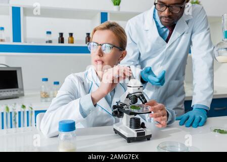 biologi multiculturali in camici bianchi al microscopio in laboratorio Foto Stock