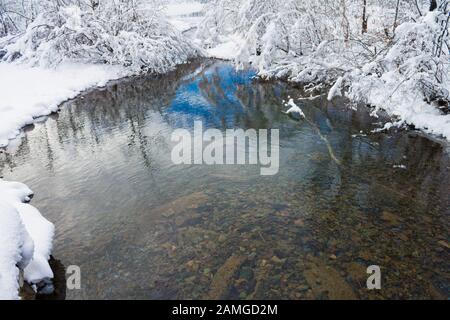 Lago alpino frana. Tempo gelido. Sciogliete l'acqua di sorgente in un lago di montagna. Acqua limpida in un fiume di montagna Foto Stock