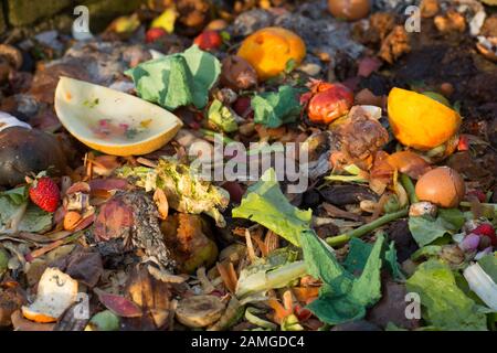 Un mucchio di composto in un giardino nel Lancashire con pelings di frutta e verdura in inverno. Lancashire Inghilterra GB Foto Stock