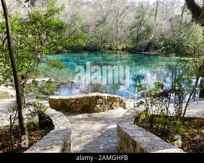 Sorgenti del fiume Ichetucknee, Ichetucknee Springs State Park, Florida, Stati Uniti d'America. Foto Stock