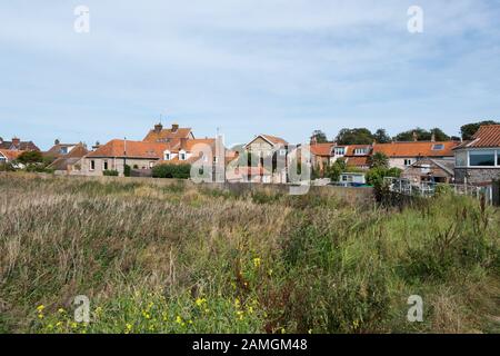 Vista delle case attraverso i letti reed e paludi che circondano il villaggio di Cley Next The Sea, North Norfolk, UK Foto Stock