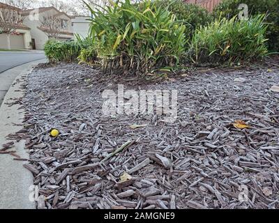 Primo piano di gelo a terra nella zona della baia di San Francisco, San Ramon, California, durante un periodo di tempo insolitamente freddo, il 28 dicembre 2019. () Foto Stock