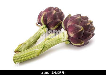 Carciofi freschi isolati su sfondo bianco Foto Stock