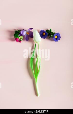 Concetto minimo di Pasqua. Lettera T fatta da fiori di primavera sullo sfondo rosa Foto Stock