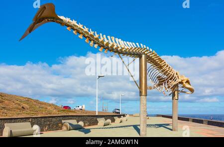 Los Silos, Tenerife, Spagna - 10 dicembre 2019: Scheletro di una Sei Whale sulla costa di Los Silos, le Canarie Foto Stock