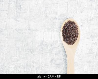 Spezie ed erbe contribuiscono a mantenere in buona salute e a migliorare l'appetito, vista dall'alto sul cemento bianco sullo sfondo. Semi di senape in cucchiaio di legno. Apotheca moderno Foto Stock