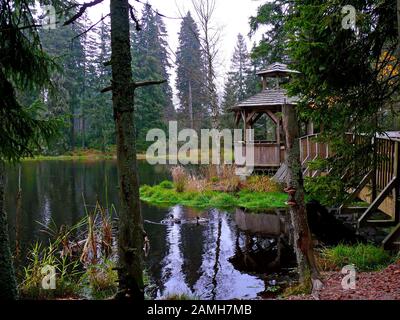 Ponte di legno e gazebo sotto il muschio in prenotazione nazionale Kladska vicino a Horni slavkov. Si trova nella repubblica di Cezch. Foto Stock