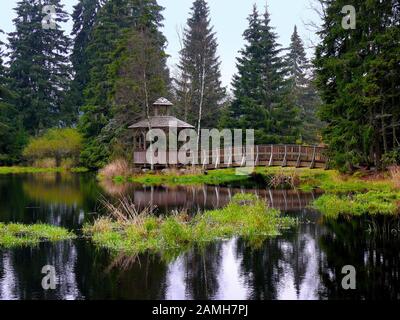 Ponte di legno e gazebo sotto il muschio in prenotazione nazionale Kladska vicino a Horni slavkov. Si trova nella repubblica di Cezch. Foto Stock