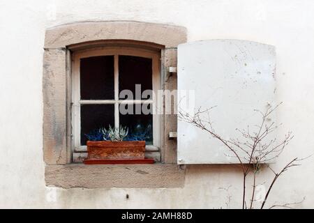 Piccola finestra quadrata con un solo otturatore di legno bianco con un vaso di fiori sul davanzale Foto Stock