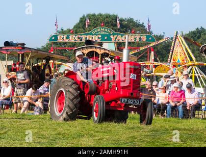 Trattori agricoli in parata al 2019 Shrewsbury Steam Rally, Shropshire, Inghilterra, Regno Unito Foto Stock