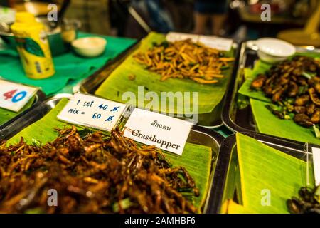 Bangkok/Thailandia-05 dicembre 2019: Scene dal mercato alimentare notturno Talat Rot Fai, con piatti di vari insetti cotti pronti a mangiare, e un segno che dice: Foto Stock