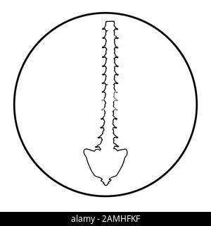 Silhouette lineare scoliosi icona. Curvatura spinale, cifosi, lordosi del collo, scoliosi, artrosi. Postura errata e stoop. Infographics Illustrazione Vettoriale