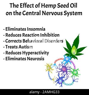 L'effetto dell'olio di semi di canapa sul sistema nervoso centrale. Sinapsi di neuroni. Background delle comunicazioni neurali. Neurone di comunicazione Synapse. Vettore Illustrazione Vettoriale