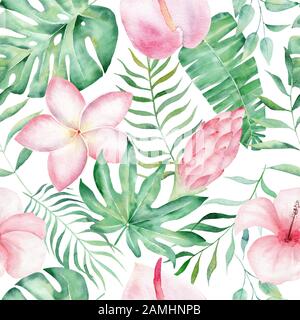 Piante tropicali foglie e fiori disegni a mano senza cuciture. Plumeria, hibiscus e anthurium sfondo alla moda. Giungla foresta, botanica Foto Stock
