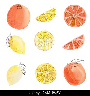 Set di illustrazioni colorate a colori ad acqua degli agrumi disegnati a mano. Fette di limone, arancio e pompelmo isolate su fondo bianco. estate ju Foto Stock
