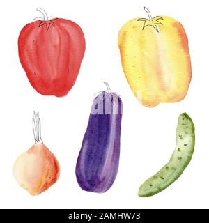 Set di illustrazioni colorate a mano di verdure acquerello. Peperone giallo e rosso dolce, cipolla, cetriolo e melanzana isolati su fondo bianco pa Foto Stock