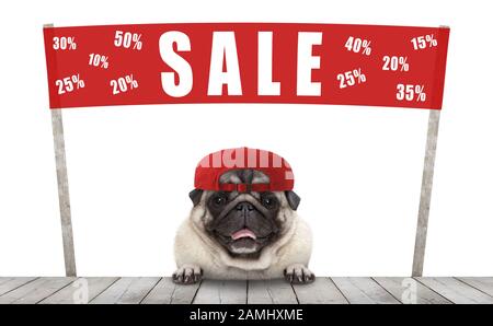 frolic commerciante sorridente pug cane cucciolo con cappello e rosso banner promozionale con vendita di testo % di sconto, vendita con sconto, isolato su bianco backgro Foto Stock