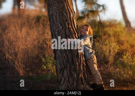 Un ragazzino carino che abbraccia un pino su una collina durante un tramonto. Foto Stock