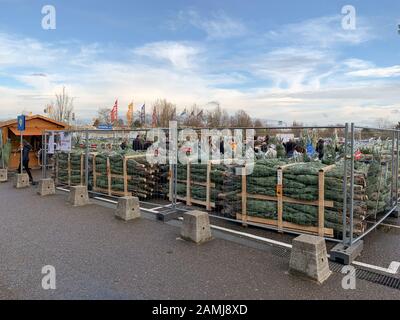 Parigi, Francia - 1° dicembre 2018: Grande gruppo di persone all'interno del negozio IKEA mobili parcheggio per lo shopping svedese Bio Organic Christmas abir Trees Foto Stock