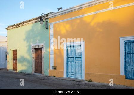 Un gatto cammina sul tetto Di Colorato Art Deco e case e edifici tradizionali a Merida, Yucatan, Messico. Foto Stock