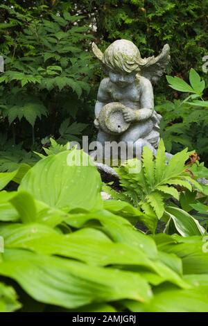 Hosta foglie di pianta e statuette di un angelo giovane ragazza in giardino privato cortile in estate. Foto Stock