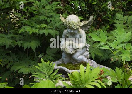 Perenni foglie di pianta e statuette di un giovane angelo ragazza in giardino privato cortile in estate. Foto Stock