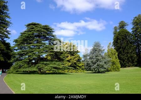 Giardino botanico di Adelaide Foto Stock