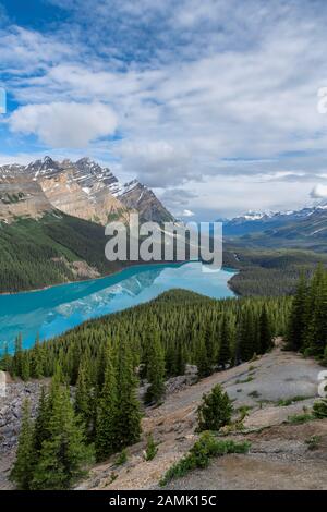 Lago Peyto Nel Parco Nazionale Di Banff, Montagne Rocciose, Canada Foto Stock
