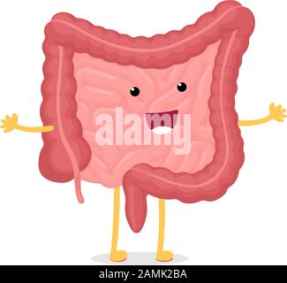 Carino cartoon sano intestino carattere smiley. Cavità addominale digestivo ed escrezione organo interno umano. Intestino tenue e colon con retto duodeno e illustrazione dell'anatomia vettoriale dell'appendice Illustrazione Vettoriale