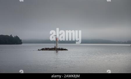 Nebbia su una delle piccole isole con un piccolo faro delle Mille isole al confine Canada-Stati Uniti nel fiume San Lorenzo Foto Stock