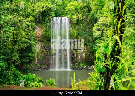 Famose Cascate Millaa Millaa A Atherton Tableland. Foto Stock