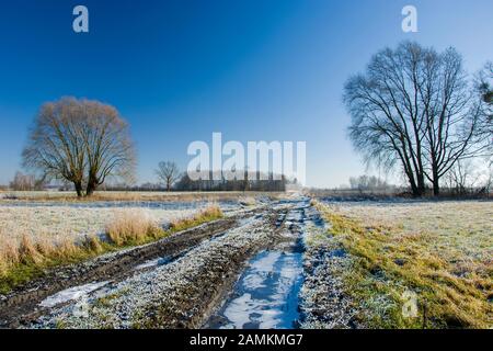 Strada sterrata ghiacciata attraverso prati, alberi e cielo blu, vista in inverno giorno Foto Stock