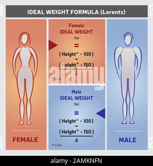 Ideal Peso Formula Illustrazione - Silhouette Femminile E Maschile Illustrazione Vettoriale