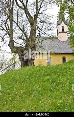 Percorso ciclabile intorno a Schliersee: Nella foto l'antico tiglio del vigneto sopra Schliersee, sullo sfondo il Georgskirchlein. [traduzione automatizzata] Foto Stock