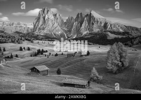Alpe Di Siusi, Dolomiti. Immagine del paesaggio bianco e nero di Seiser Alm un altopiano dolomitico e il più grande prato alpino d'alta quota d'Europa. Foto Stock