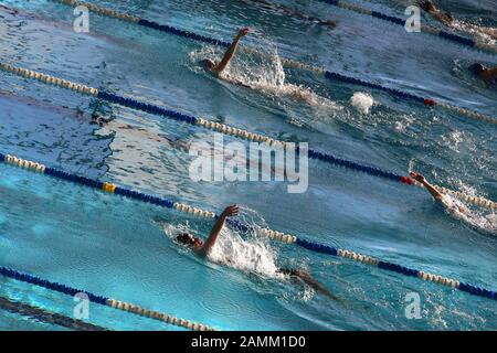 Nuotatore al festival di nuoto 'Head-Trophy' nella Sala olimpica di Monaco. In uno dei più grandi eventi di nuoto in Europa, i giovani atleti possono competere con i migliori nel loro campo. [traduzione automatizzata] Foto Stock