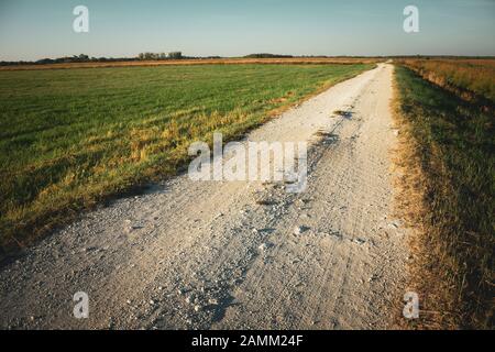 Una strada sterrata lunga e dritta attraverso prati, orizzonte e cielo blu Foto Stock