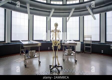 Vista dell'Istituto anatomico dell'Università Ludwig-Maximilians di Monaco (LMU) a Pettenkoferstraße 11 dopo il completamento della ristrutturazione generale. L'immagine mostra uno scheletro nella sala di dissezione. [traduzione automatizzata] Foto Stock